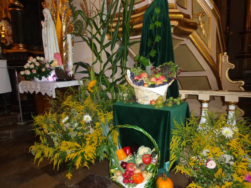 zielnej12 008